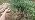 131FT 1/4" Drip Irrigation System with Stakes, 360° Adjustable Watering Kit - Image 7