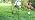 MUMTOP Outdoor Thermometer, Owl Outside Decor for Patio, Yard and Garden - Image 7