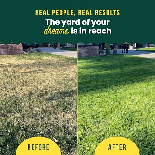 Sunday Green Machine Liquid Lawn Fertilizer, 2 Pack, Covers 10,000 Sq Ft - Image 3
