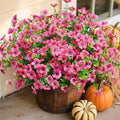 Daisy Artificial Flowers for Outdoors Decor, 12 Bundles Faux Daisy with Eucalyptus Fake Plants Greenery UV Resistant Look Real Colorful Faux Flowers for Outside Planter Porch Patio Gardens, Hotpink by florisso