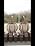 Solar Hanging Lantern, Hand-Woven Hemp Rope, IP44 Waterproof LED - Image 7