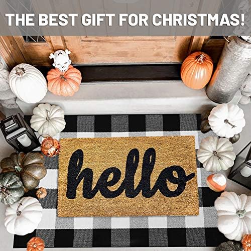 IOHOUZE 27.5x43 Buffalo Plaid Rug, Washable Front Door Mat, Black White - Image 3