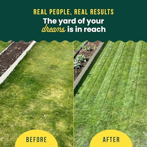 Sunday Lawn Kickstart, Liquid Lawn Fertilizer, 2 Pack + Sprayer - Image 3