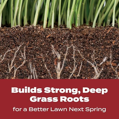 Scotts Turf Builder WinterGuard Fall Lawn Food, 12.5 lb. - Fall Lawn Fertilizer Builds Strong, Deep Grass Roots for a Better Lawn Next Spring - Covers 5,000 sq. ft. - Image 6