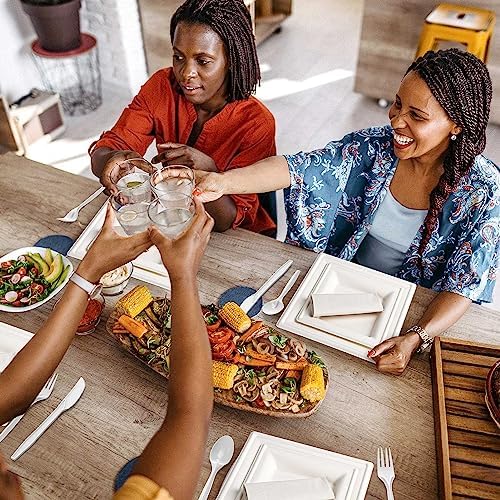 Gezond Compostable Paper Plates Set 300pcs Disposable Plates 10 Inch - Image 6