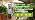 4-in-1 Soil Moisture Meter Digital Plant Temperature/Soil Moisture/PH Meter/Sunlight Intensity Backlight LCD Display Soil Test Meter for Gardening, Farming and Outdoor Plants - Image 7