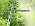 360° Adjustable Drip Irrigation System with 32 Nozzles & Water Timer - Image 7